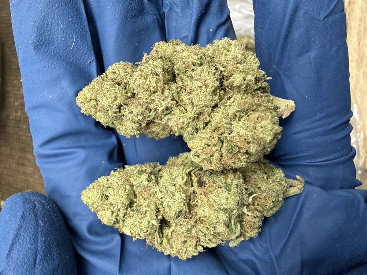 Pineapple Express Flower